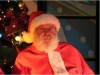 pere noel