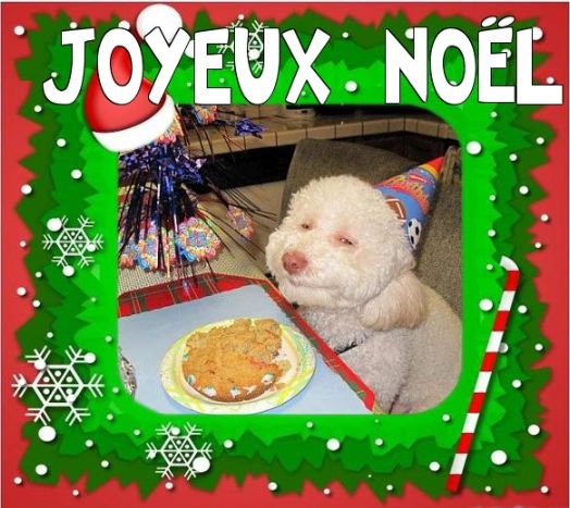 Montage photo Noël