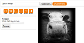 Deux éditeurs de photos et images gratuits : PicResize et PicJuice