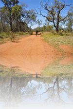 Picreflect picreflect