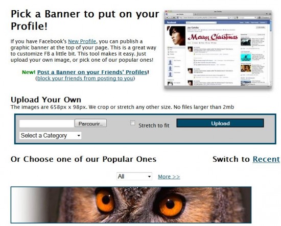 profile banner