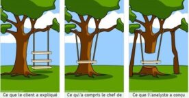 Project Cartoon : histoires d’arbres et d’entreprises