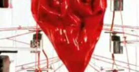 Murmur study et autres tentatives d’art 2.0