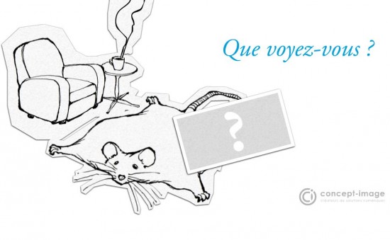 Quizz decale quizz décalé