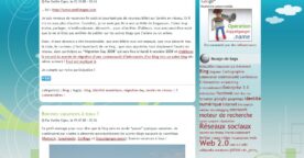Exemple de gestion de son identité numérique : Émilie Ogez
