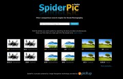 spiderpic