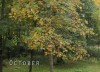 timelapse