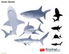 vector sharks