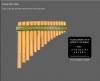 Virtual Pan Flute