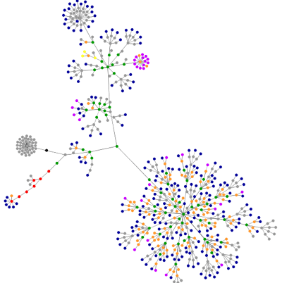 websitesgraphs