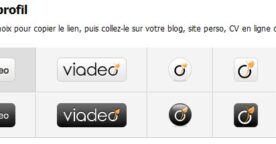 Problème avec le widget Viadéo – édité