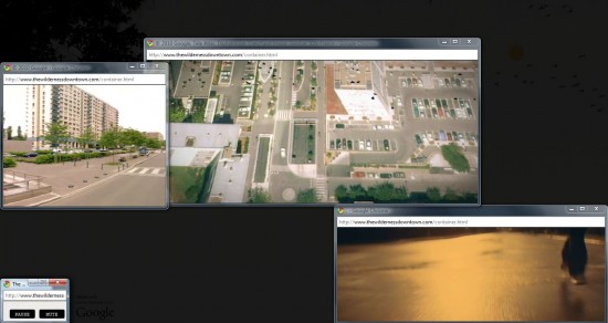 Wilderness Experiment