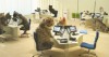 Chatons Bouygues Telecom