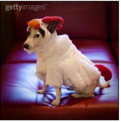 Awkward Stock Photos