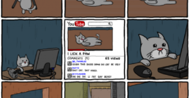 Comment faire du buzz quand on est un chat sur Internet ?
