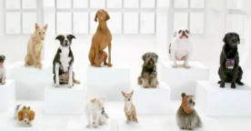 Nouvelle publicité Volkswagen : une chorale de chiens chante Star Wars