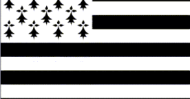Bientôt une extension .bzh pour la Bretagne ?