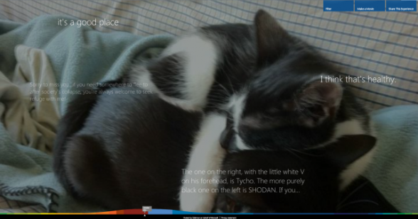 a-year-cat