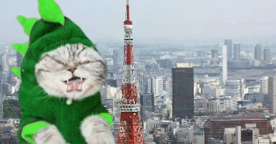 Les meilleurs Tumblr de GIF, sélection spéciale travail