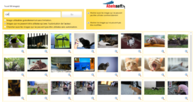 Trouver des images sous licence Creative Commons : CCFinder