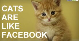 Parodie : Facebook est comme une chaise, et autres comparaisons absurdes