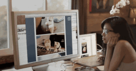 Sélection de Tumblr de GIF animés, spécial travail #2