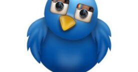 Comment afficher les photos d’Instagram sur Twitter ?
