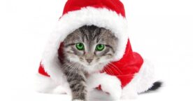 Fonds d’écran de Noël, notre sélection