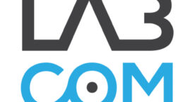 Conférence LabCom – Les idées qui tuent pour 2013