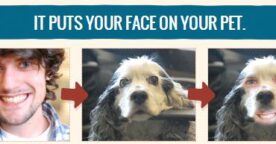 Montage photo : fusionnez votre visage avec celui d’un animal