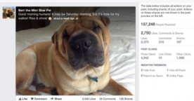 Nouveautés Facebook : statistiques, commentaires, statut auteur et version mobile