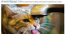 10 Tumblr pour bien perdre son temps