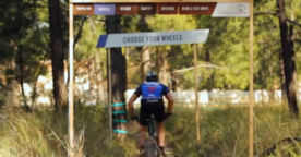 Toyota recrée un site web dans une forêt !