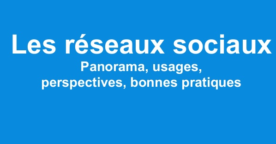 Les réseaux sociaux en 2013 : panorama, usages, perspectives
