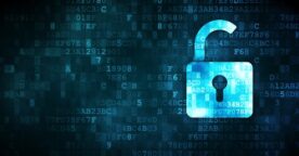 Étude : comment les internautes gèrent leur vie privée sur Internet