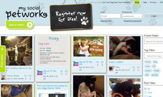 mysocialpetwork