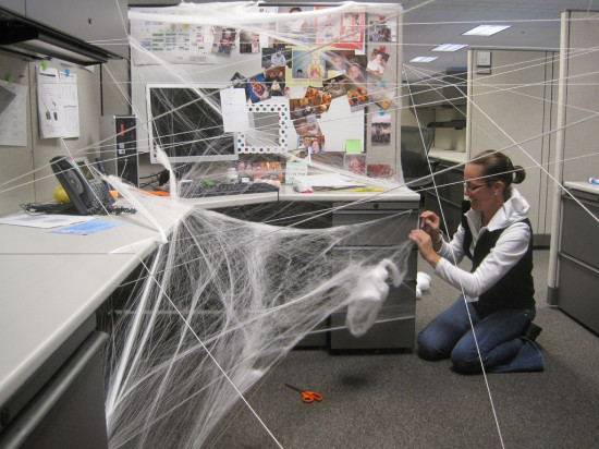 office-spider-web