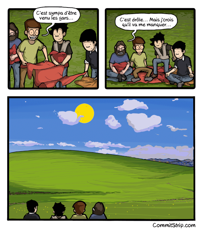 Strips-Windows-xp-fin-6501