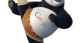 Articles de la semaine : Panda 4.0, e-réputation et nouveauté Google+