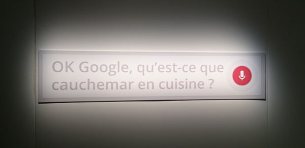 google-vocal
