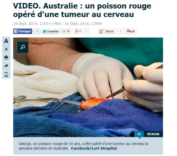 top-10-articles-2014