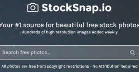 StockSnap : des photos de qualité et totalement libres de droit