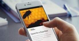Facebook lance les Instant Articles en France