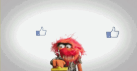Les GIFs enfin supportés par Facebook