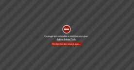 Firefox bloque toutes les versions de Flash