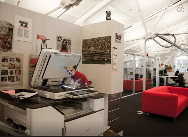 havas5