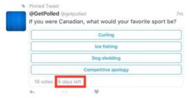 Twitter : bientôt un vrai outil de sondage ?