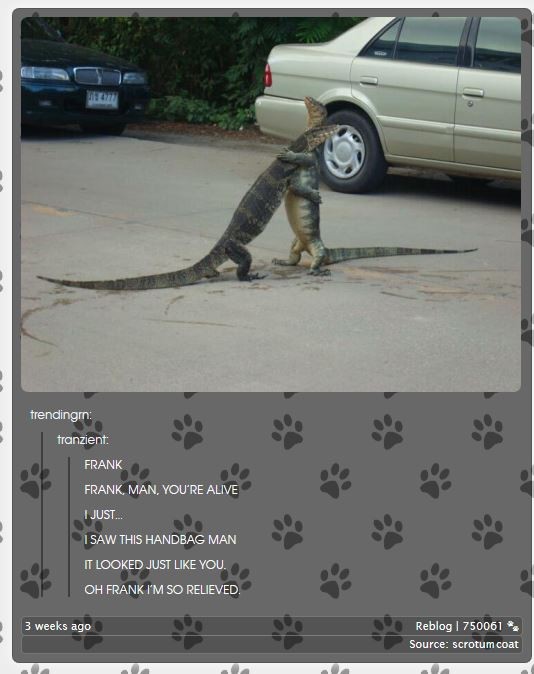 100 animals