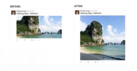 Twitter : les images ne sont plus cropées dans la Timeline et les albums sont plus visuels