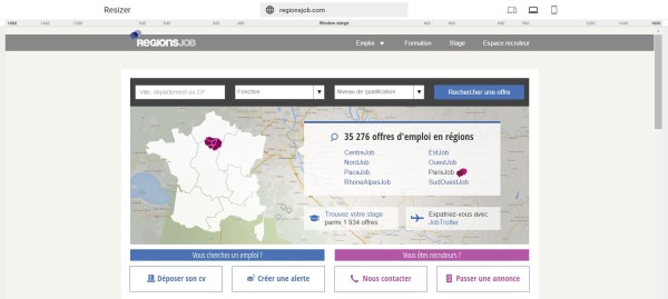 google-resizer-desktop